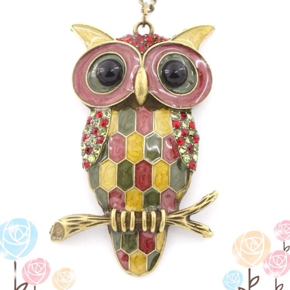 🌻RESERVED🌻 Unique colorful owl necklace chain🌻