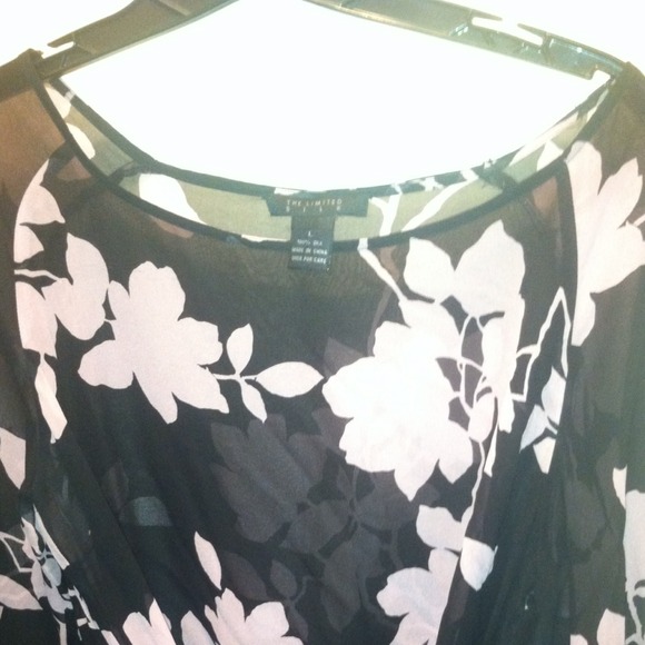 Sheer Blouse