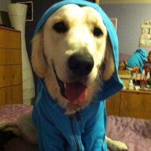 RUDI SAYS get you fall gear now!!!