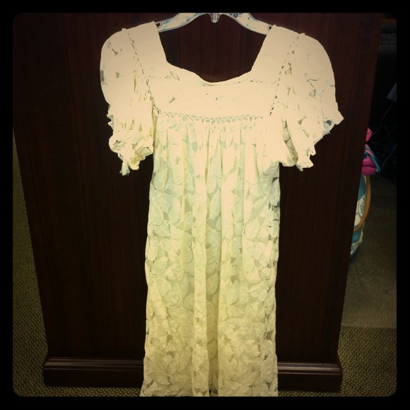 Ann Taylor Lace Dress