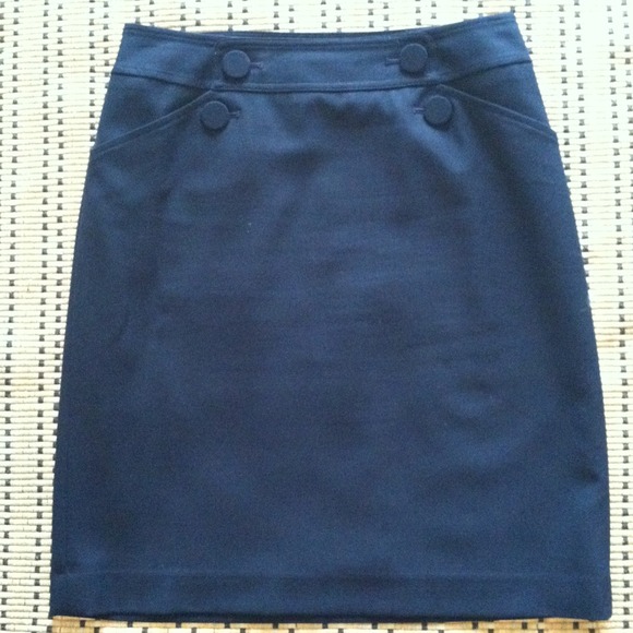 Ann Taylor skirt