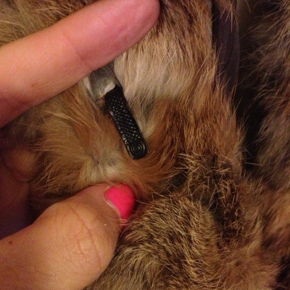 Rabbit Fur Coat - Picture 2 of 4