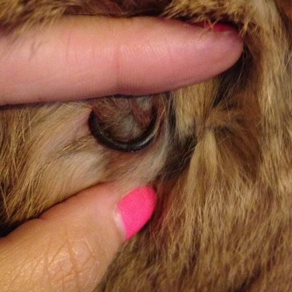 Rabbit Fur Coat - Picture 3 of 4