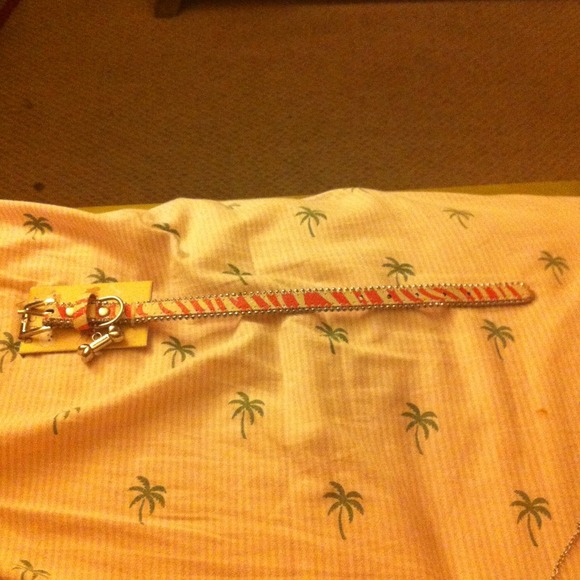 BNWT PINK ZEBRA GIRLY DOG COLLAR