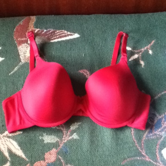 36D bra