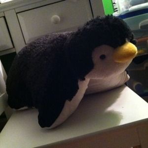 Pillow pet!