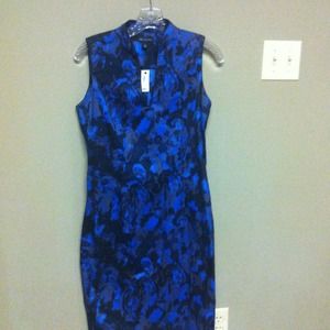Black & Blue Limited Dress