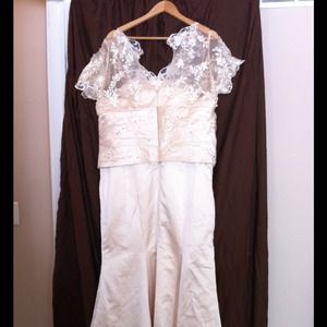 Mother of The Bride Dress