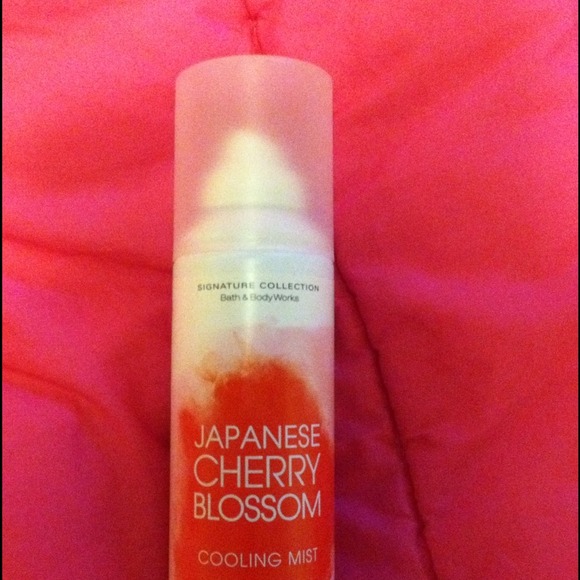🌟SOLD🌟Japanese Cherry Blossom  spray