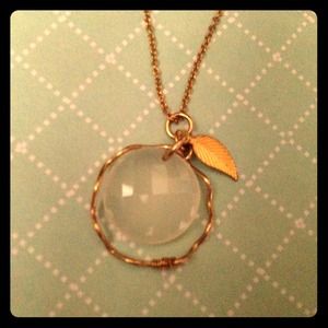 Brand New Necklace