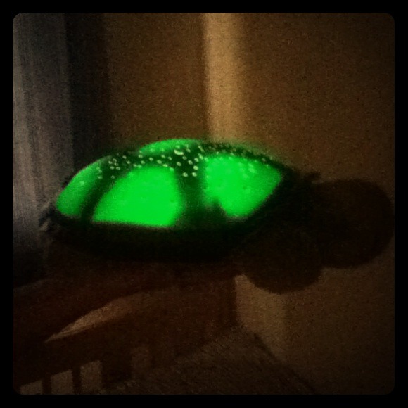 Twilight turtle nightlight