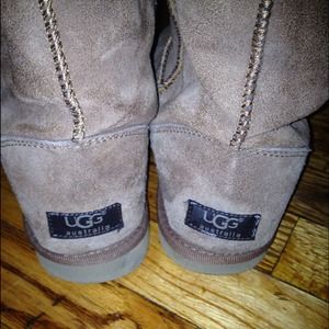 Chestnut Uggs