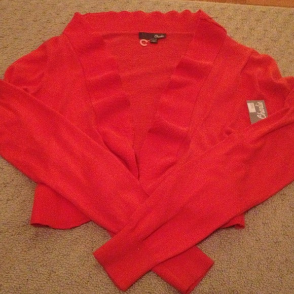 Burnt Orange sweater - Picture 1 of 2