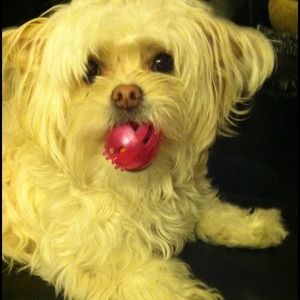 💕🎀💖Sadie Mae😍Not for Sale😍