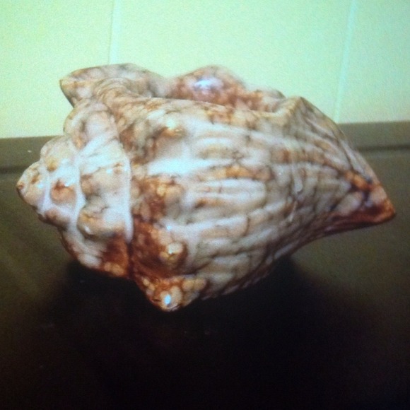 Shell candle holder. Stunning
