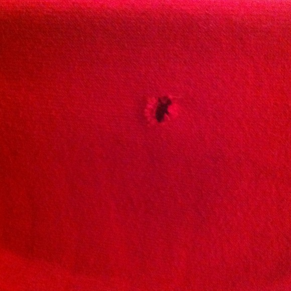 Red Abercrombie Sweater - Picture 4 of 4