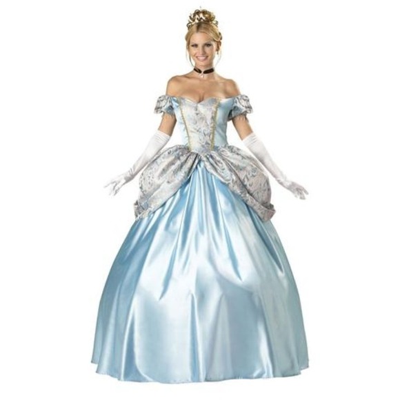 Cinderella Costume