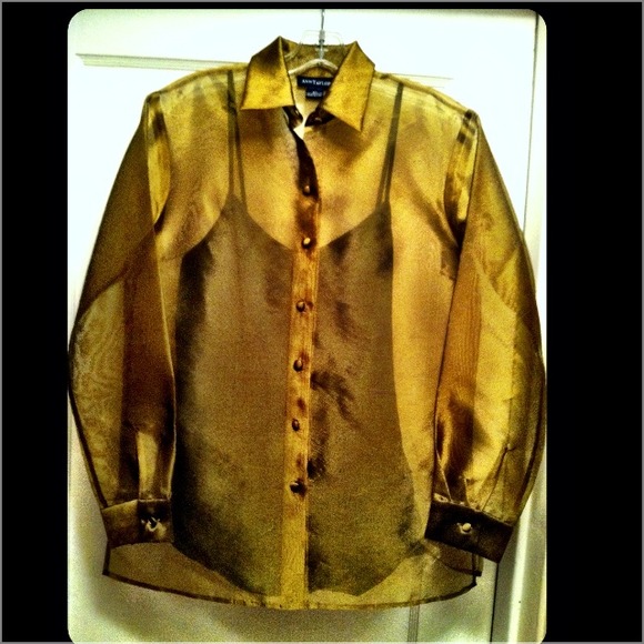 Ann Taylor Sheer Top - Picture 2 of 4