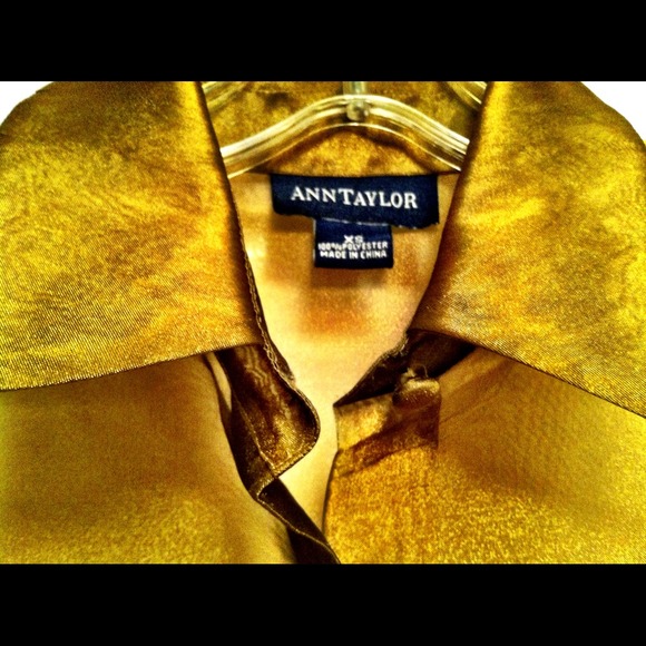 Ann Taylor Sheer Top - Picture 3 of 4