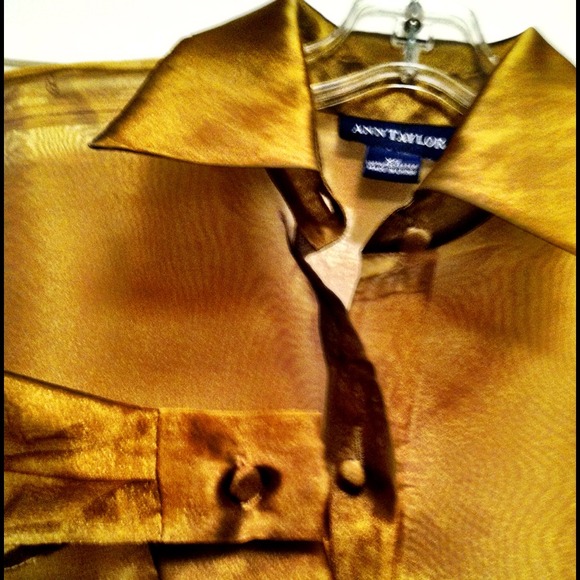 Ann Taylor Sheer Top - Picture 4 of 4