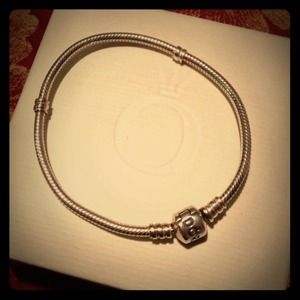 Pandora charm bracelet