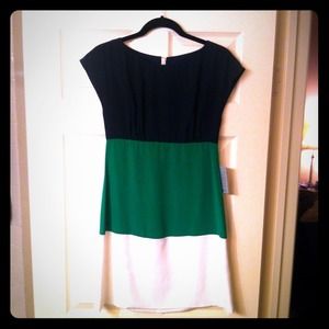 Silk Colorblock Dress