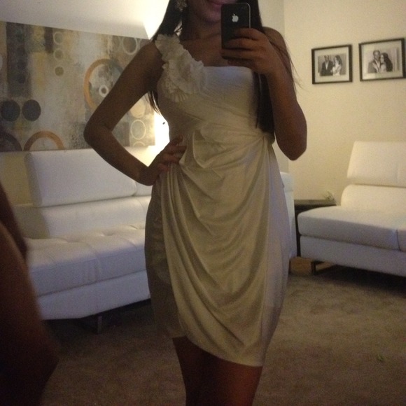 Bcbgmaxzria dress