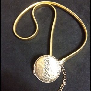 Vintage 1980s Golden Medallion Skinny Belt