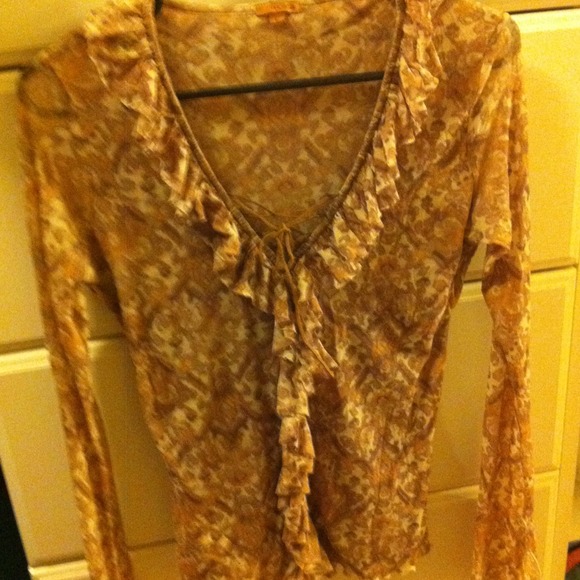 Sheer long sleeve top