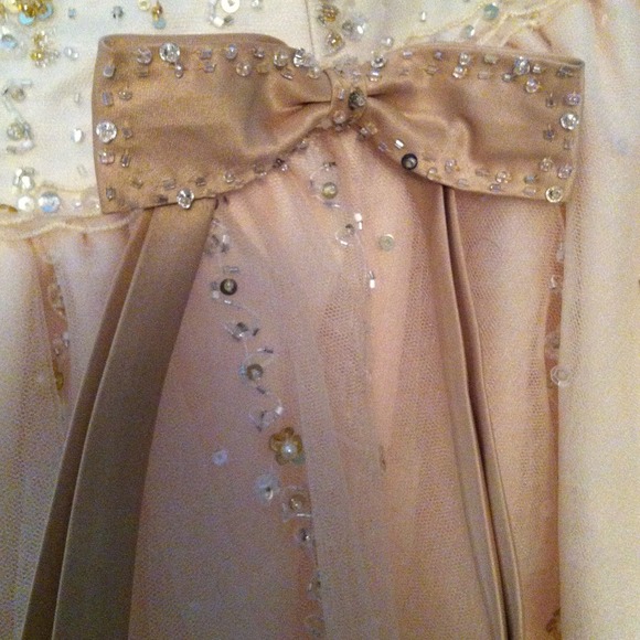 Elegant Ball Gown - Picture 3 of 4