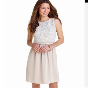The Limited Crocheted Bodice Dress