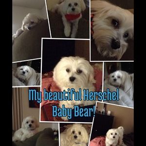 Shop my mommy’s closet! Believe me she’s got great taste, look at me! ❤️