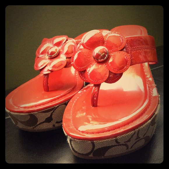 Platform Wedges
