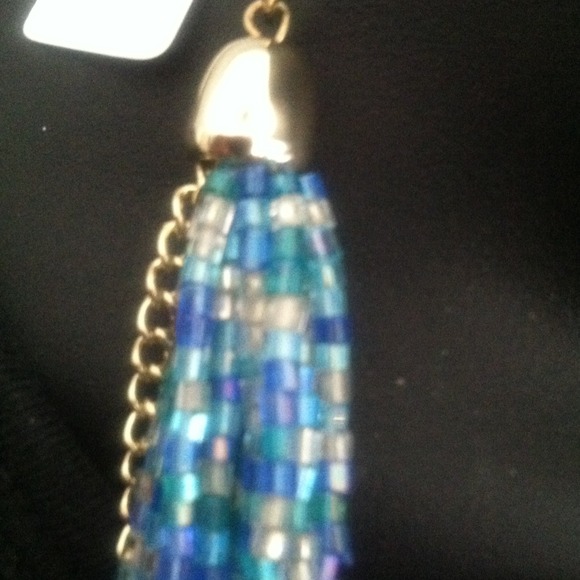 Long Seed Bead Necklace - Picture 2 of 4