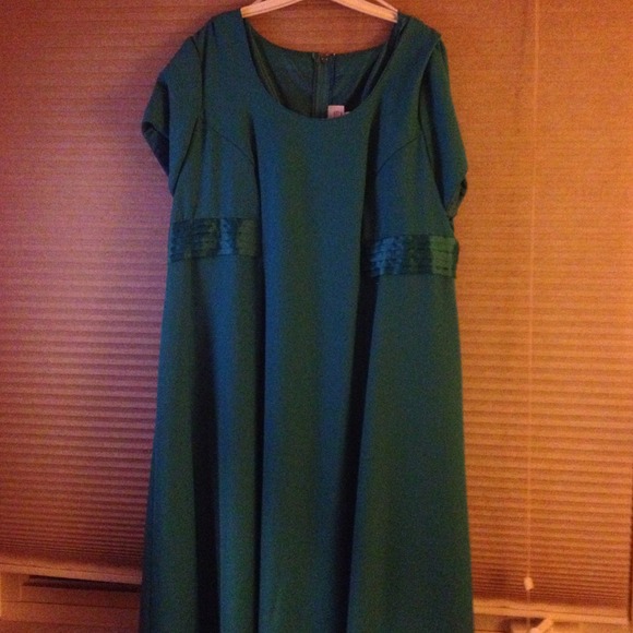 Plus size long dress. This is a steal.
