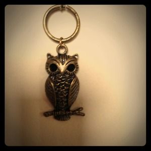 Owl charm on long bronze colored chain