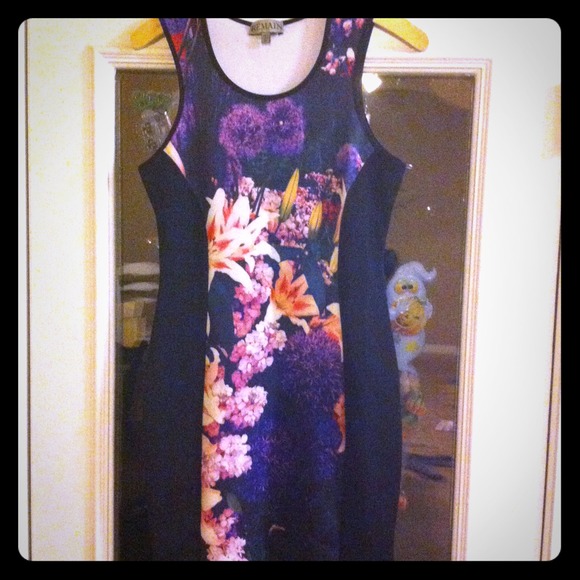 Remain floral block dress