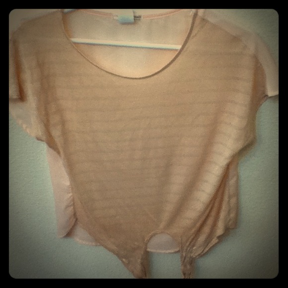 Light Pink Crop Top