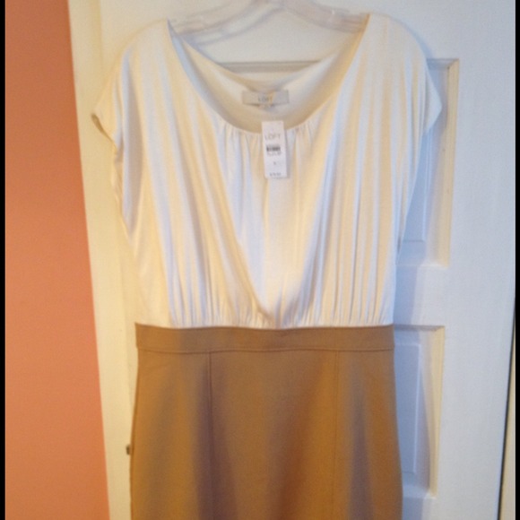 Ann Taylor loft dress