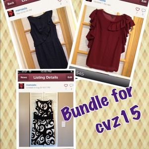 Bundle for cvz15