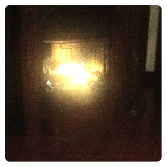 Because she's the cutest doggie around!!!