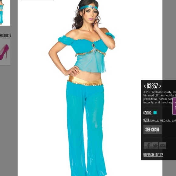 ❌SOLD❌✨Reduced✨Princess jasmine/Arabian costume