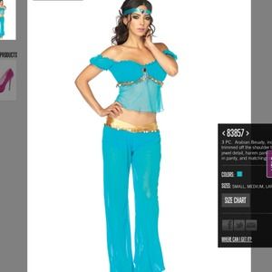 ❌SOLD❌✨Reduced✨Princess jasmine/Arabian costume