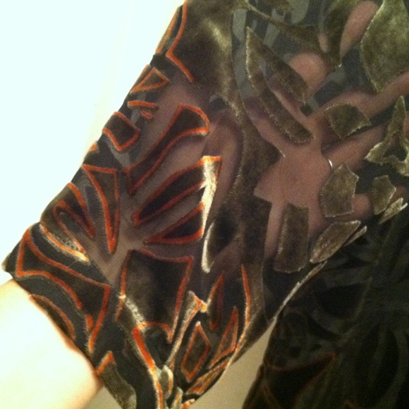 *SOLD* Chico's Sheer Tunic with Velvet - Picture 4 of 4