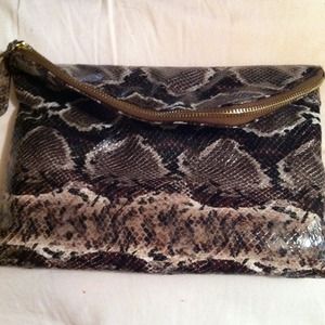 Snakeskin clutch