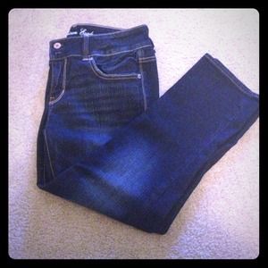 AE artist stretch crop jean