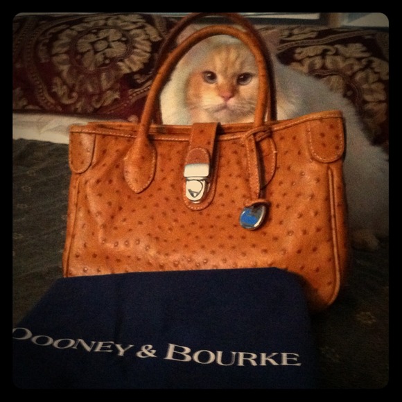 DOONEY&BOURKE handbag