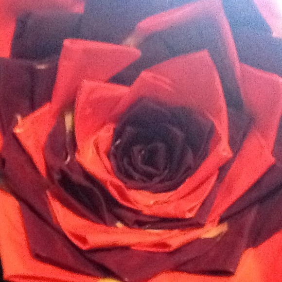 Beautiful Flower - Picture 2 of 2