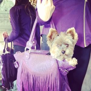 Purple fringe purse. New !