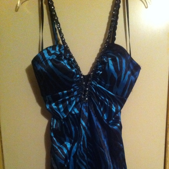 Blue zebra party dress